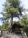 DSCF0398.JPG