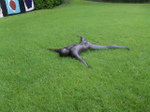 DSCF0643.jpg